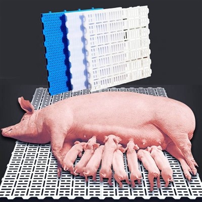 Roostervloer Voor Gevogelte