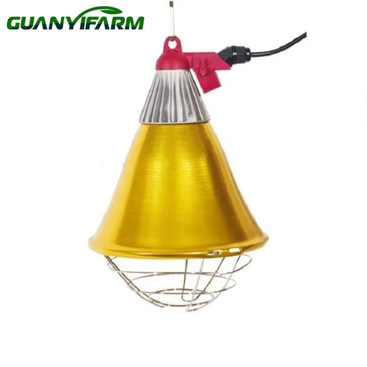 Brooder Lamp Brooder Lamp