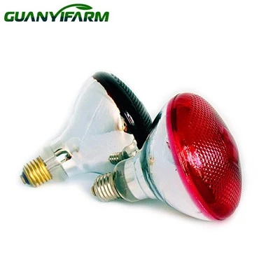 Rode warmtelamp van 250 W