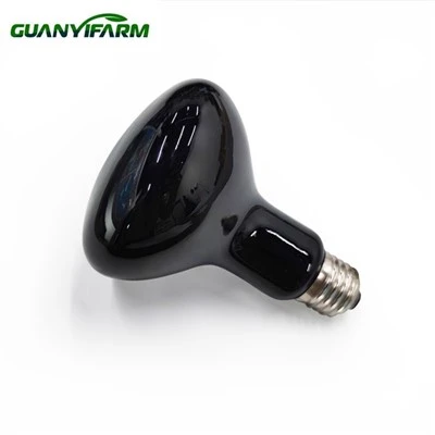 Gekko Reptielenlamp